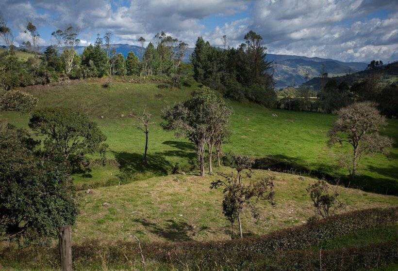 Отель Villa Del Moján