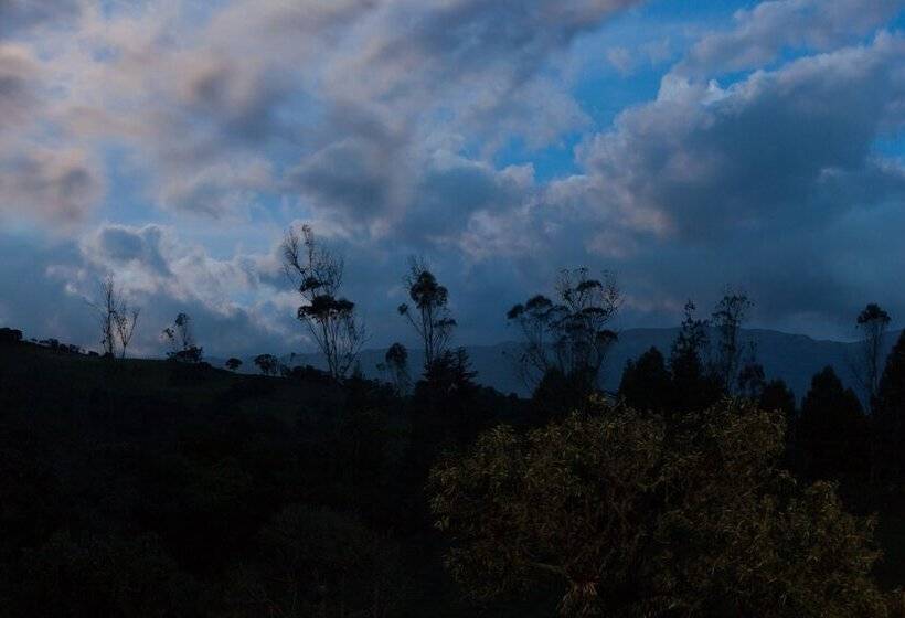 Отель Villa Del Moján