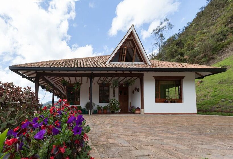 Отель Villa Del Moján