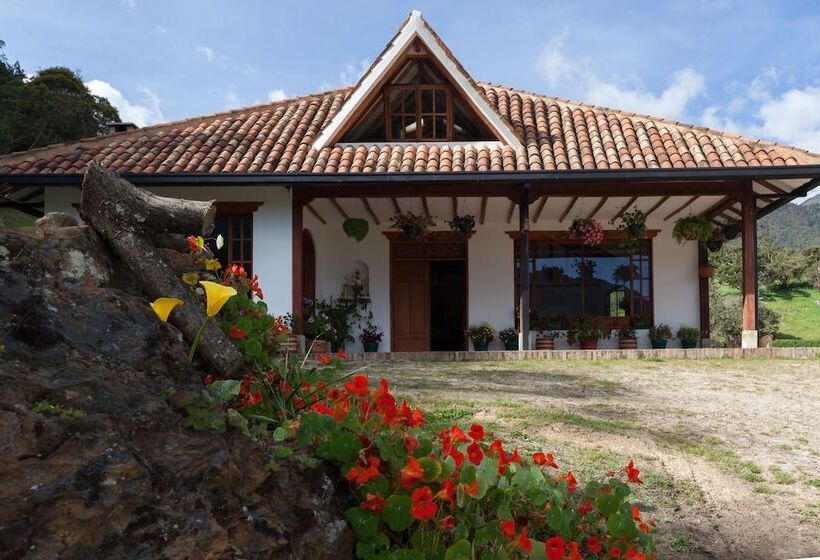 Отель Villa Del Moján