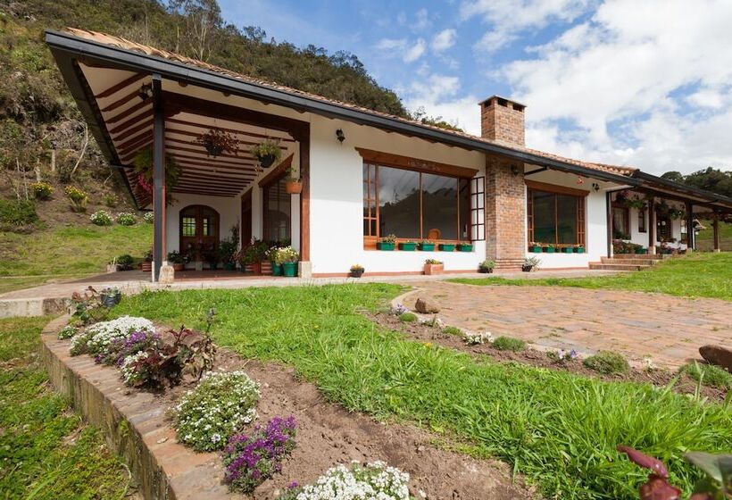 Отель Villa Del Moján