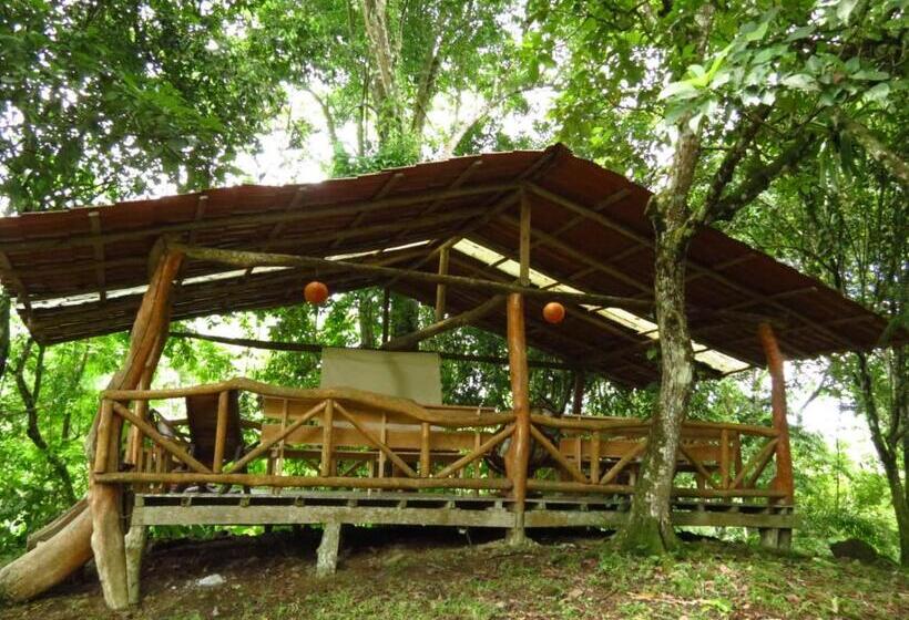 Отель Vocaré Finca Agroecológica