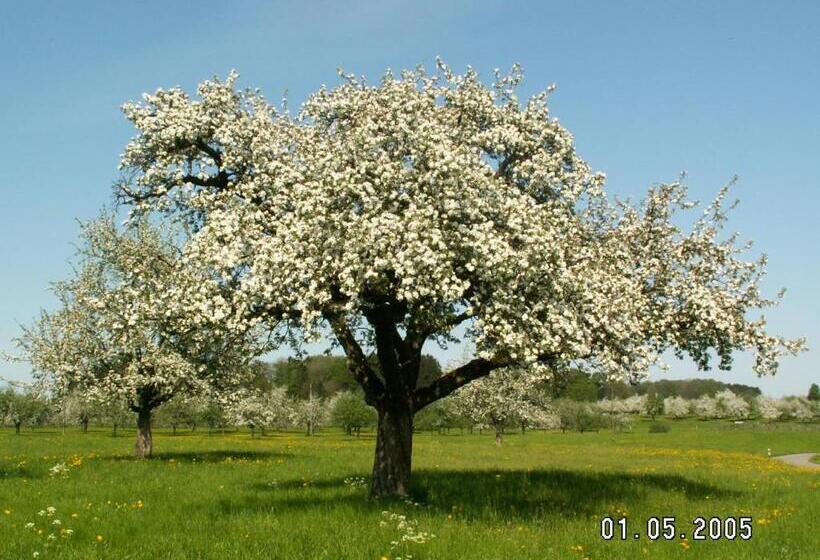 ペンション Haus St.michael