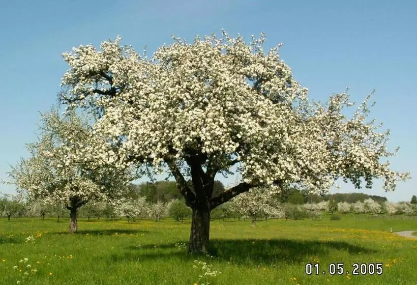 ペンション Haus St.michael