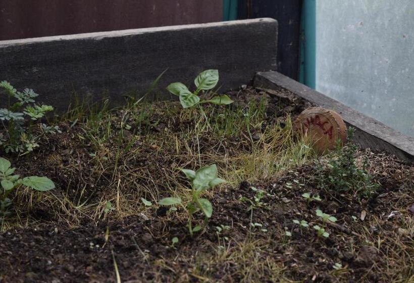 호스텔 Finca La Tobita Eco