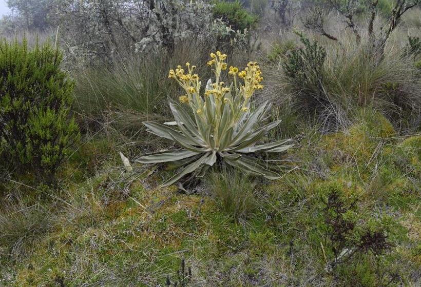 호스텔 Finca La Tobita Eco