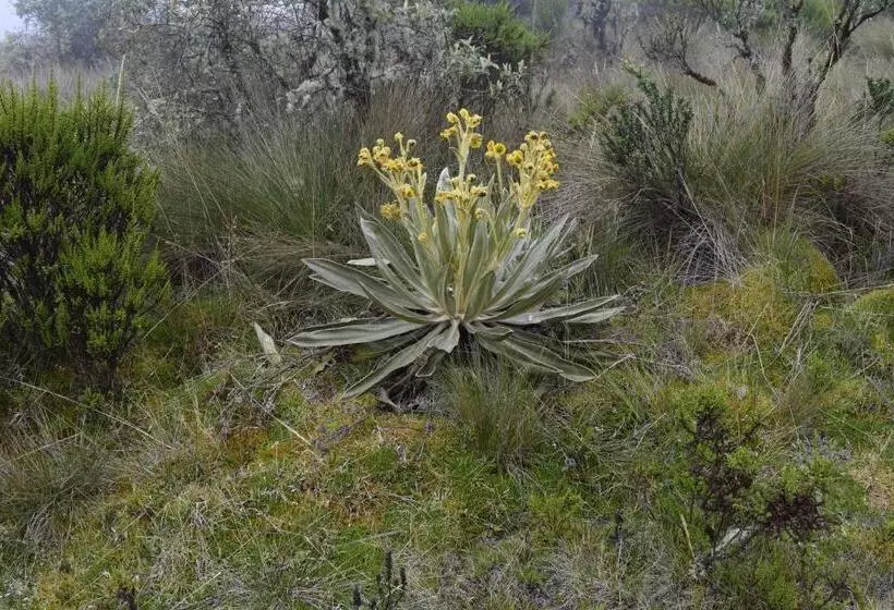 Retkeilymaja Finca La Tobita Eco