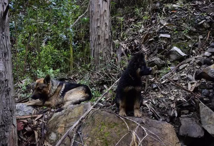 Retkeilymaja Finca La Tobita Eco
