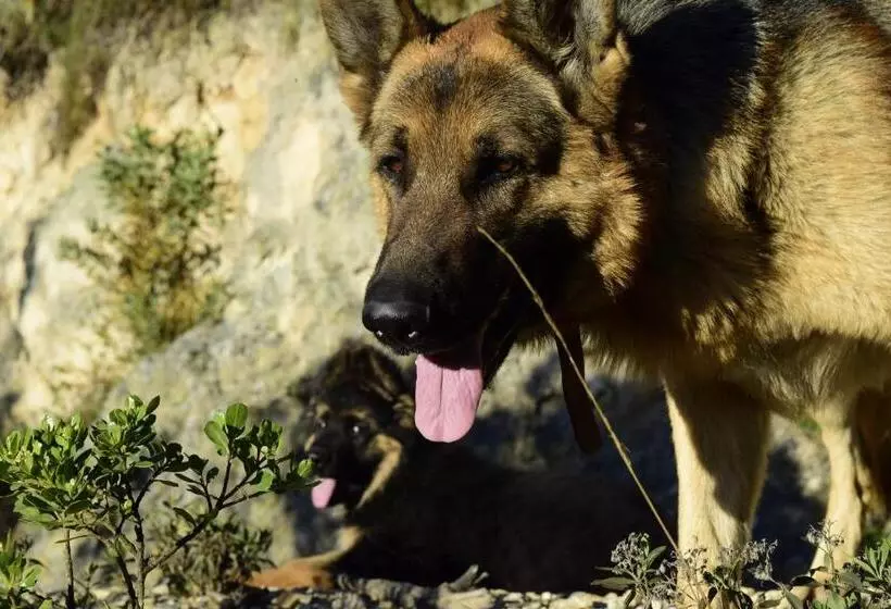 Retkeilymaja Finca La Tobita Eco