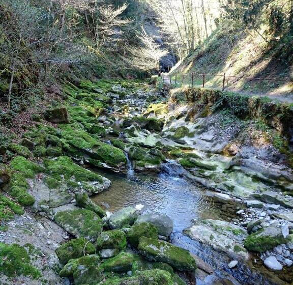 호스텔 Gasthaus Zum Ochsen