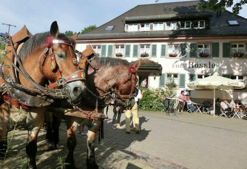 הוסטל Gasthaus Zum Rössle