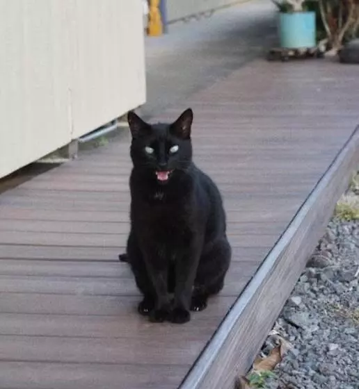 Retkeilymaja Mahana House Country Inn