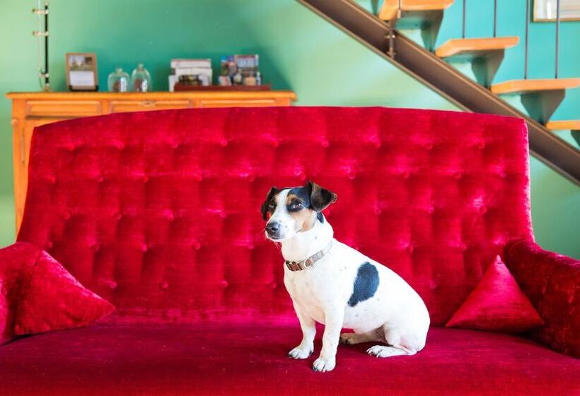 住宿加早餐  Domaine De Labarthe Maison D'hotes