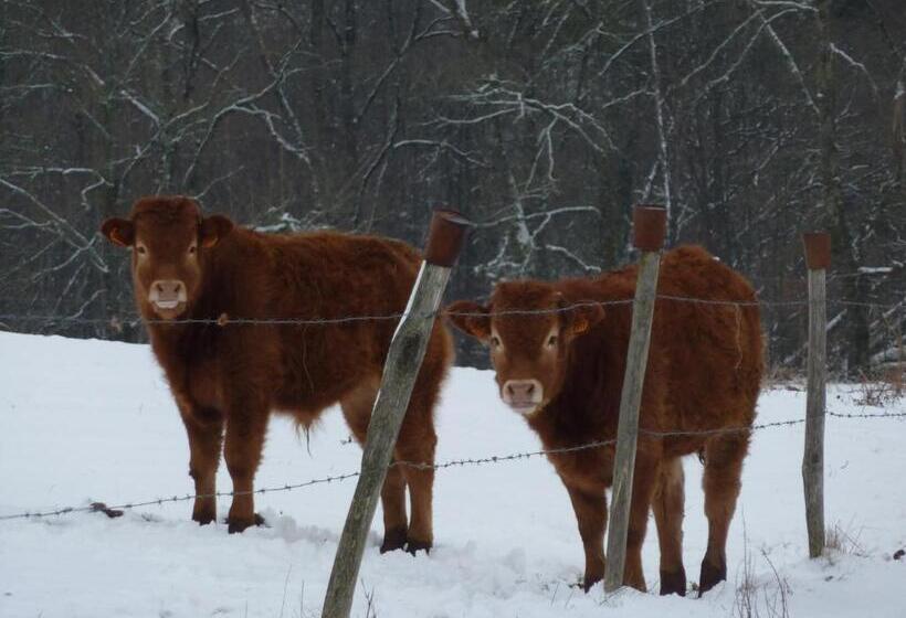 צימר L'hirondelle Chambres D'hotes