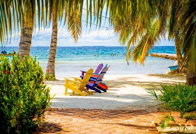 酒店 Quinta Del Mar Tintipán