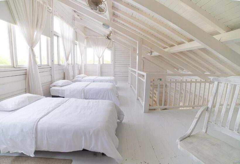 酒店 Quinta Del Mar Tintipán