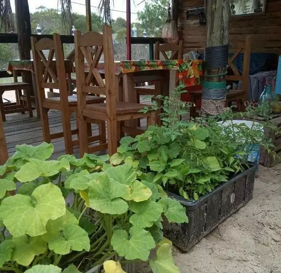 Natural Mystic B&b