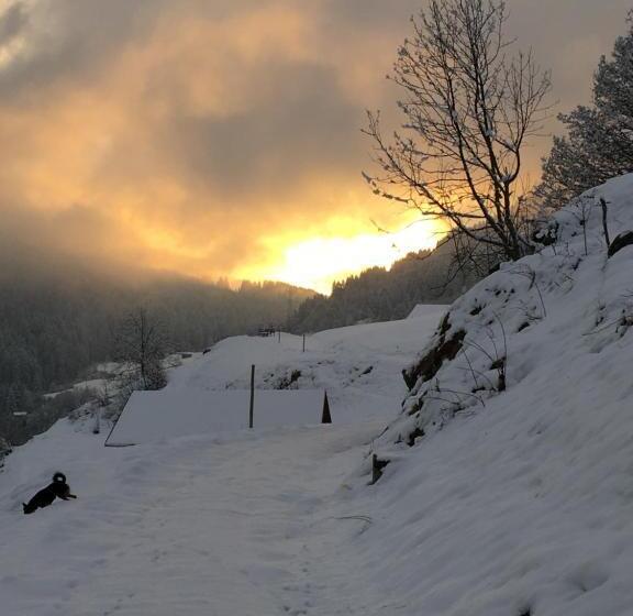 بنسيون Christall