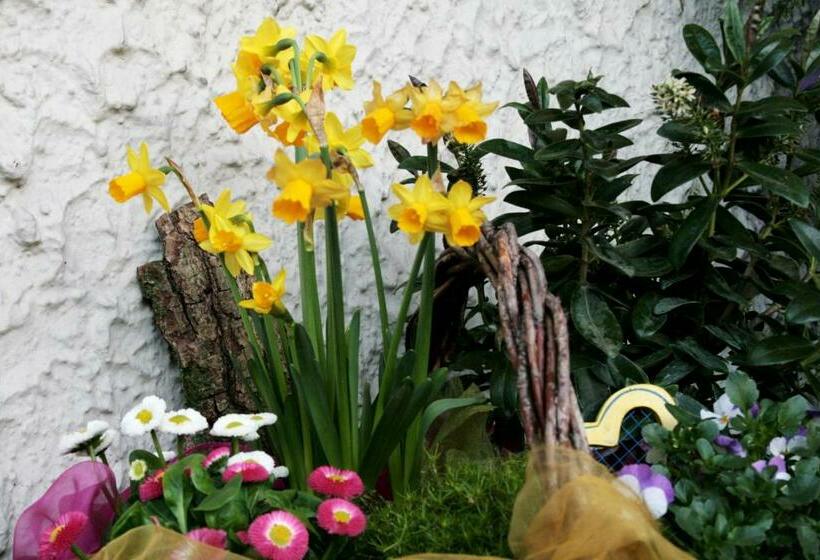 펜션 Gasthaus Kreuz