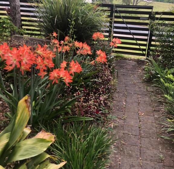 ペンション Grey Gum Lodge