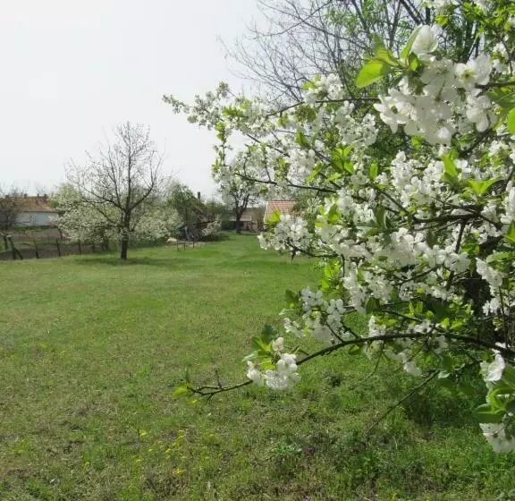 Majatalo Rigófütty Vendégház