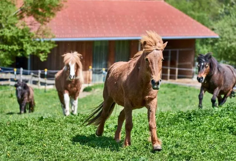 Majatalo Stern Romantik Am Hof
