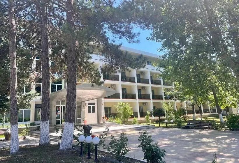 בית מלון כפרי Central