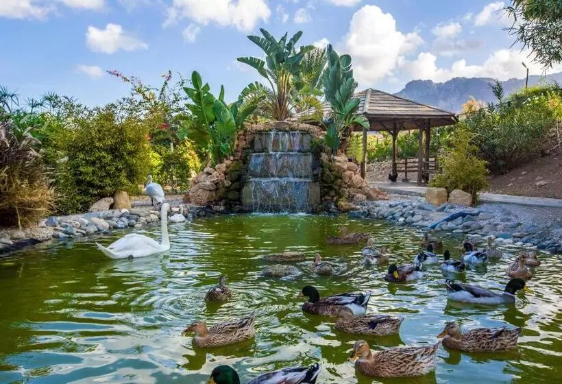 Merit Crystal Cove Hotel Casino & Spa