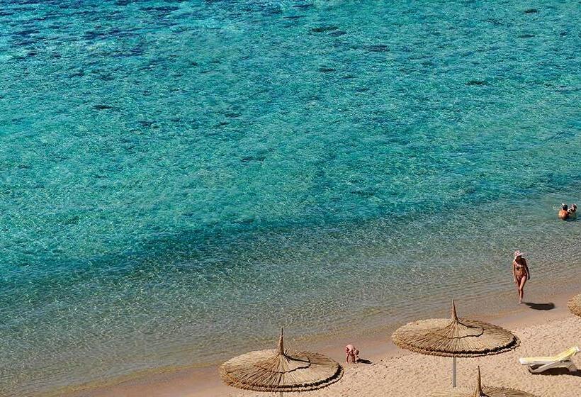 هتل Reef Oasis Beach Aqua Park Resort