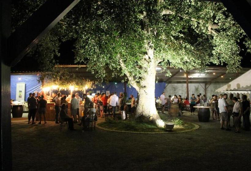 B&b La Ferme De La Patte D'oie