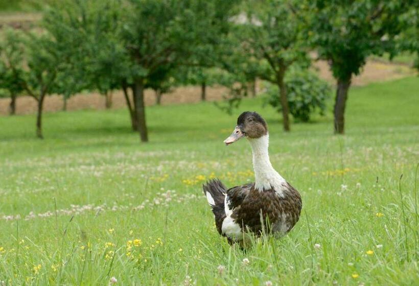 B&b La Ferme De La Patte D'oie
