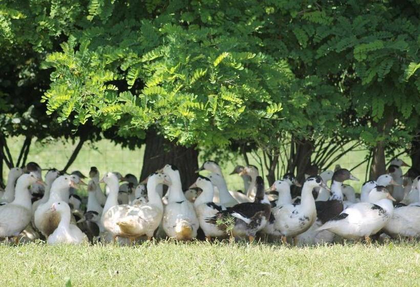 B&b La Ferme De La Patte D'oie