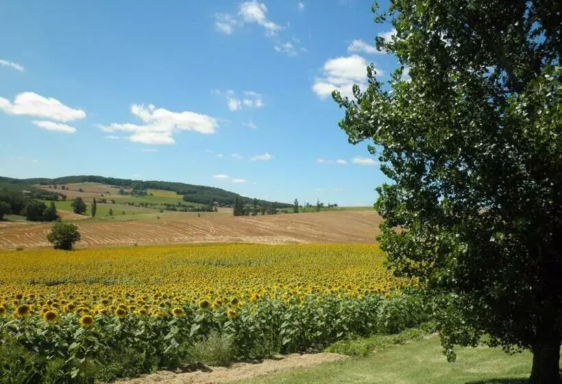 Aamiaismajoitus (B&B) Domaine De La Vigne