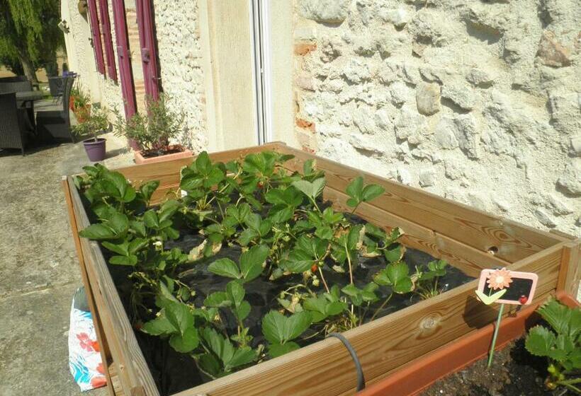 צימר Domaine De La Vigne