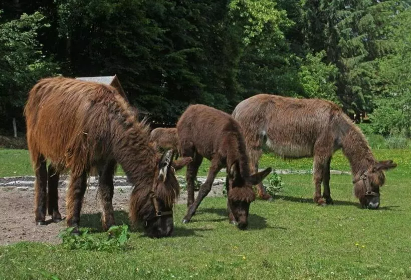 ホテル Boltenmühle