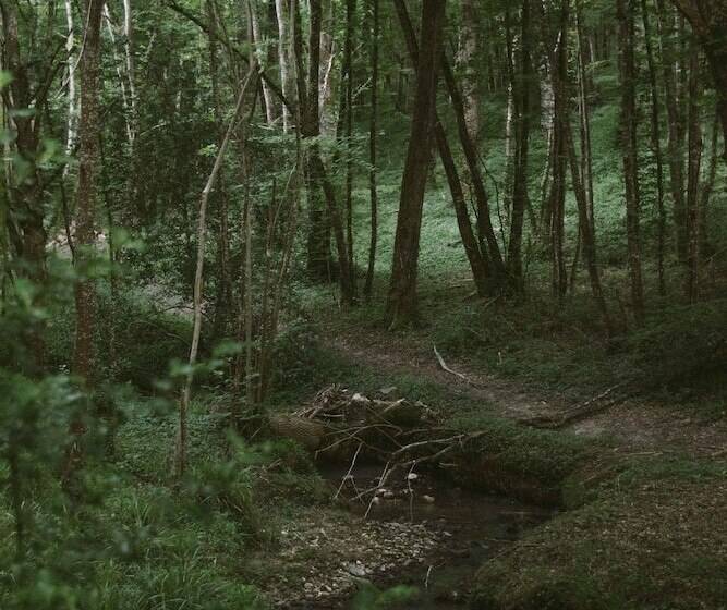 ホテル Chambre D'hotes Cugnac