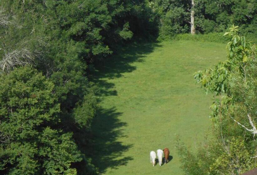 ホテル Chambre D'hotes Cugnac