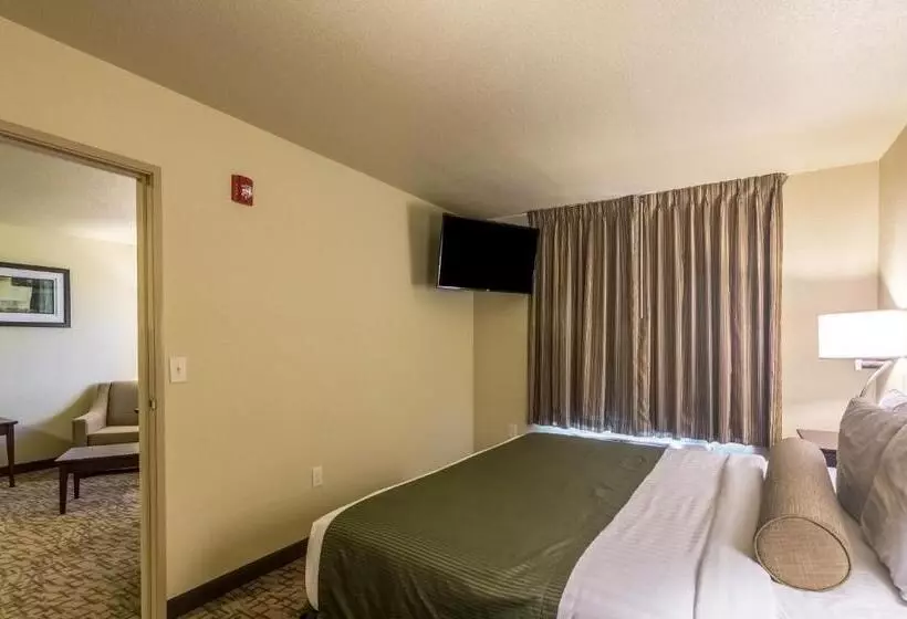 Hotelli Cobblestone Inn & Suites  Lakin