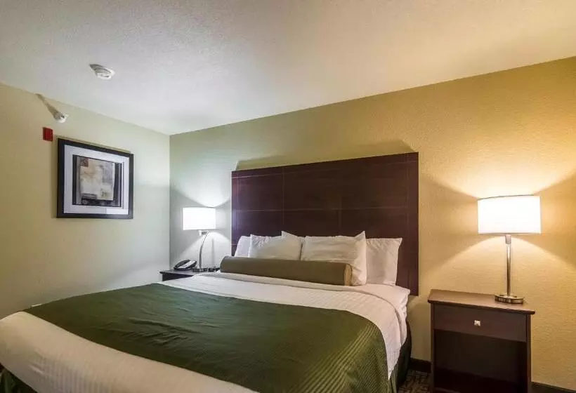 Hotelli Cobblestone Inn & Suites  Lakin