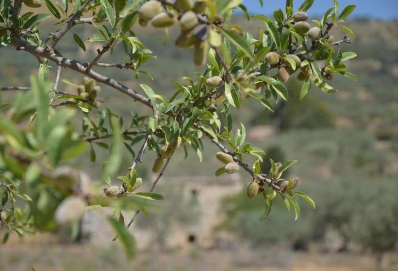 酒店 Le Case Di S. Andrea