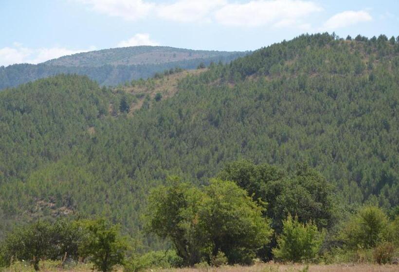 酒店 Le Case Di S. Andrea