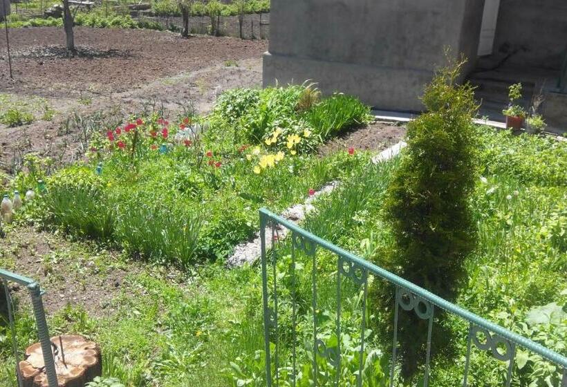 Pensione Eco Guest House Meghradzor