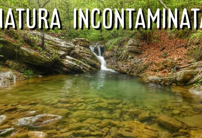 Пансион Kalimera