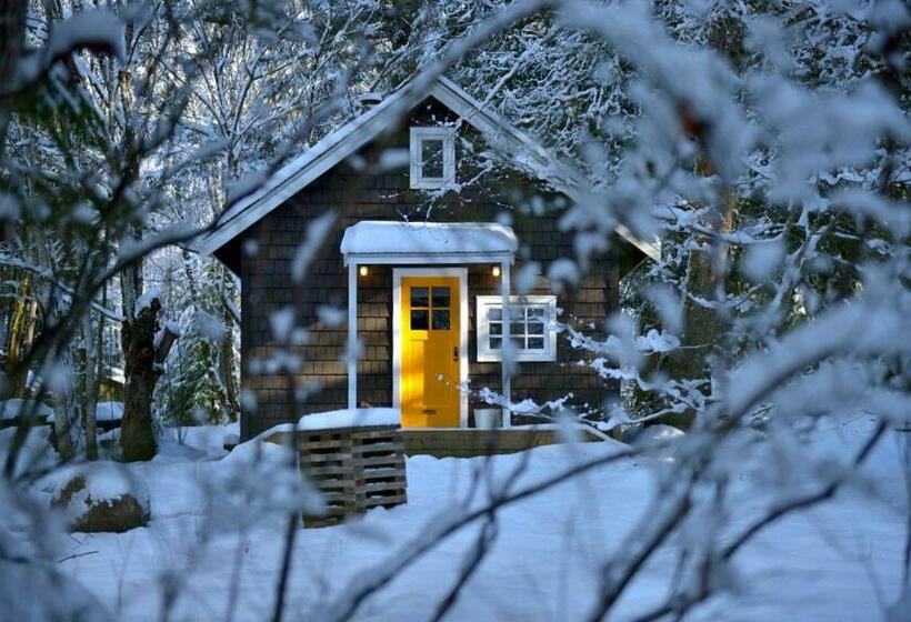 Resort Sunwolf Riverside Cabins