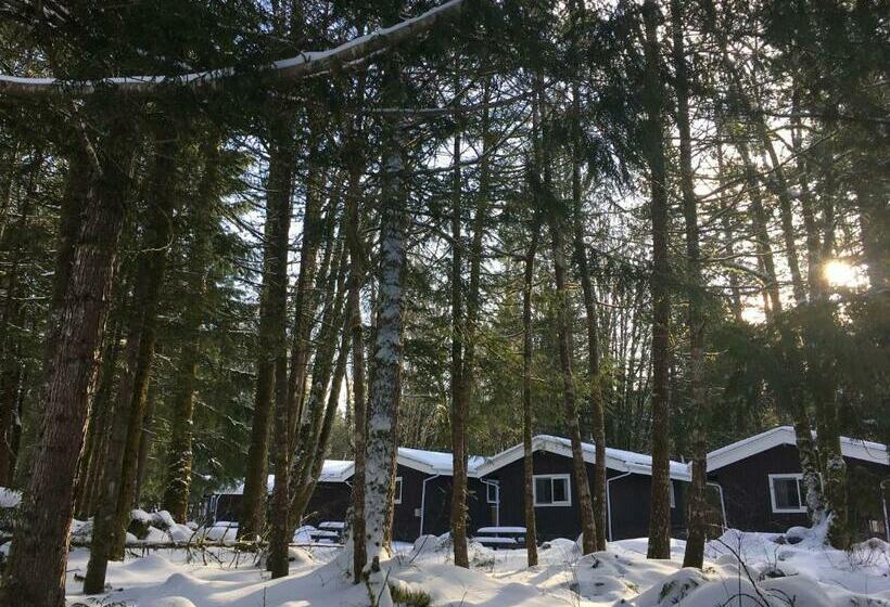 Resort Sunwolf Riverside Cabins