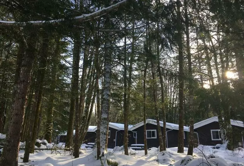 Lomakeskus Sunwolf Riverside Cabins