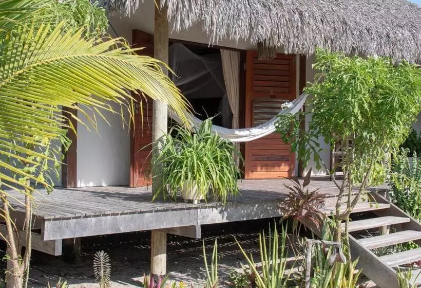 ユースホステル Kite Lodge Brazil