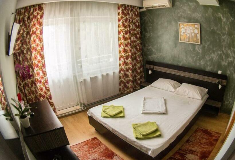 Pensione Vila Raluca