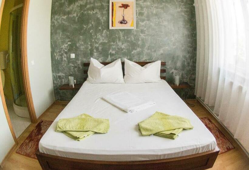 Pensione Vila Raluca