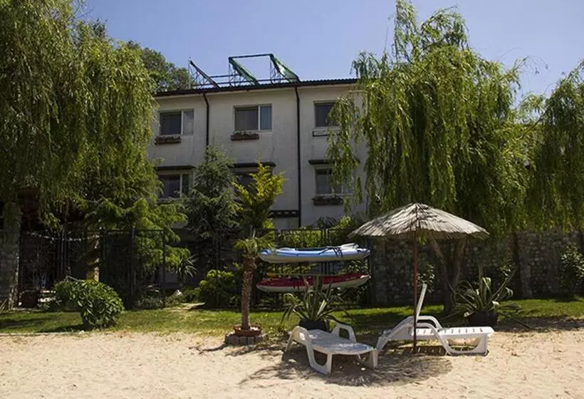 ペンション Vila Raluca